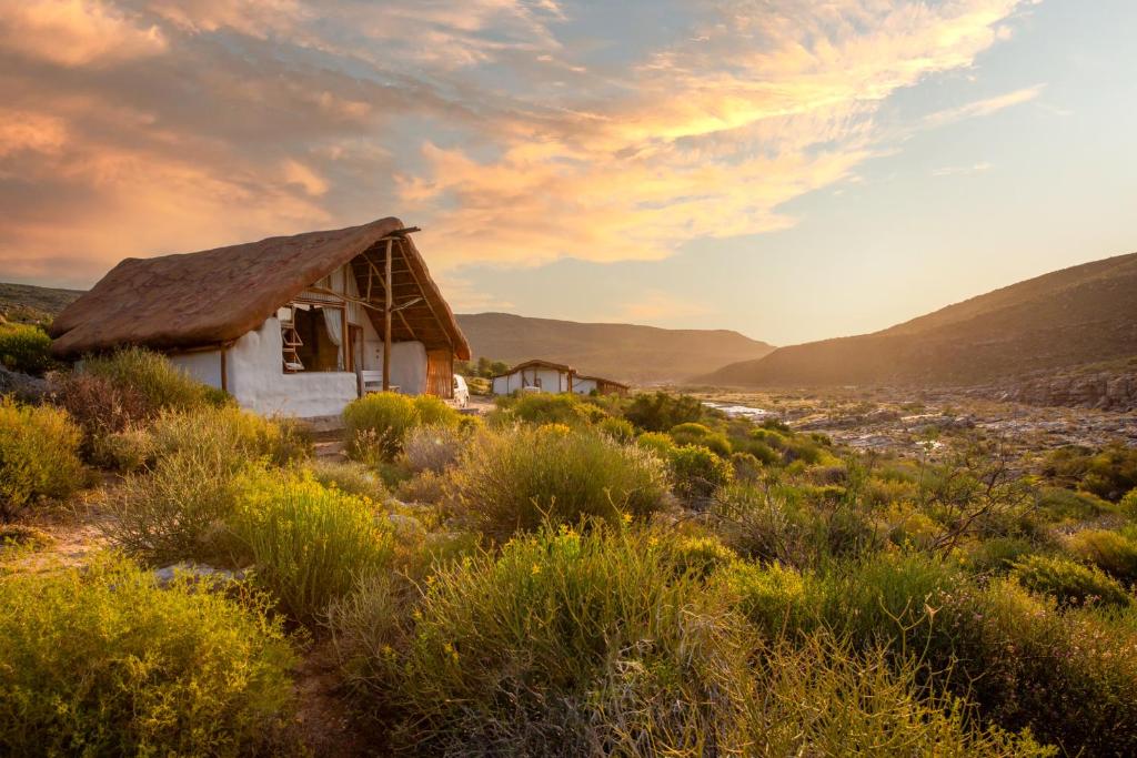 Oudrif Farm, Clanwilliam
