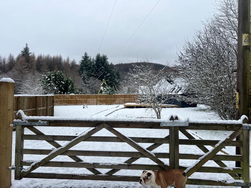 Hatton Lodge, Dunkeld