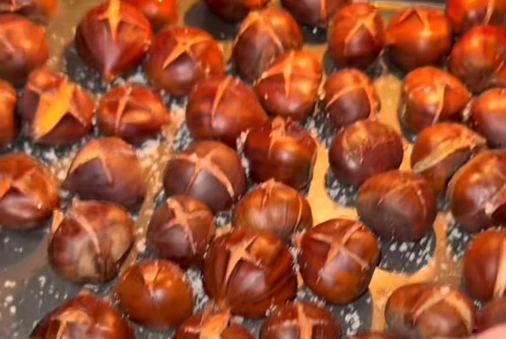 Theo appartement, Lingolsheim