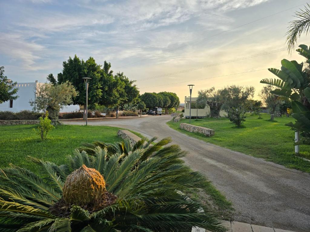B&B Tenuta Barone - 3