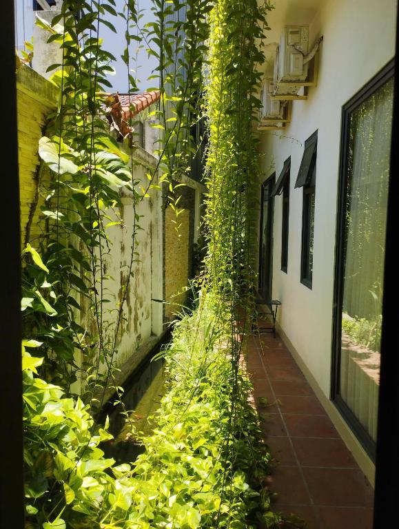 Exterior view