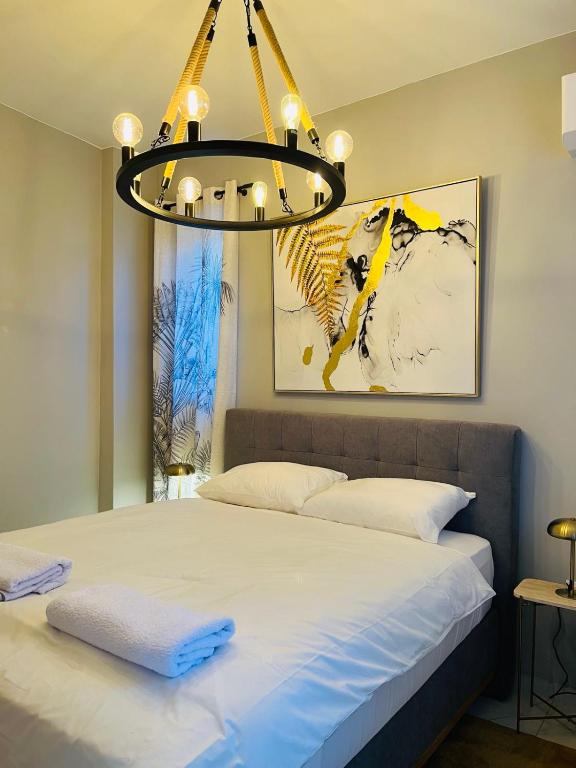 Maximus Apartments - 2