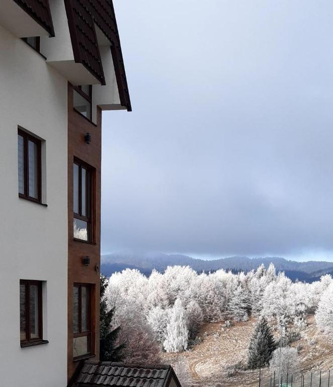 Kraljev Konak - 3