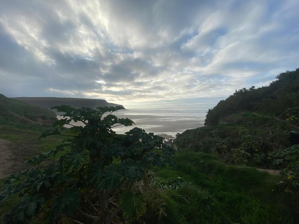 Cosy Cornish Cottage, Newquay photo 7