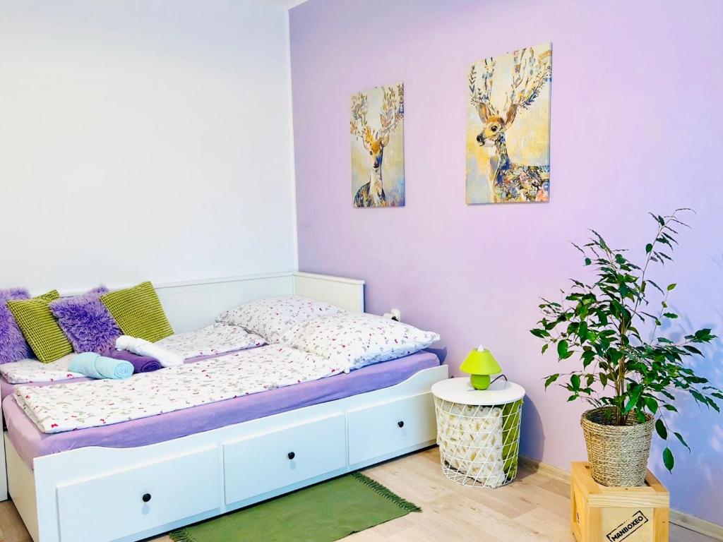 Garsonka ve Dvoře, Dvůr Králové nad Labem