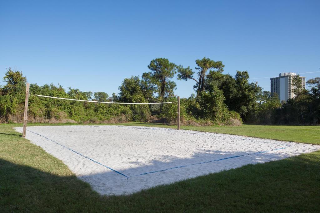 スポーツ/アクティビティ