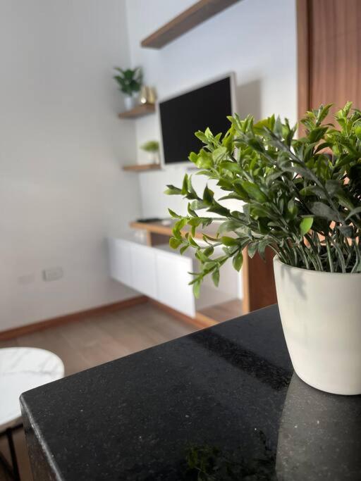 Luxury and comfort in a impecable apartment - 2