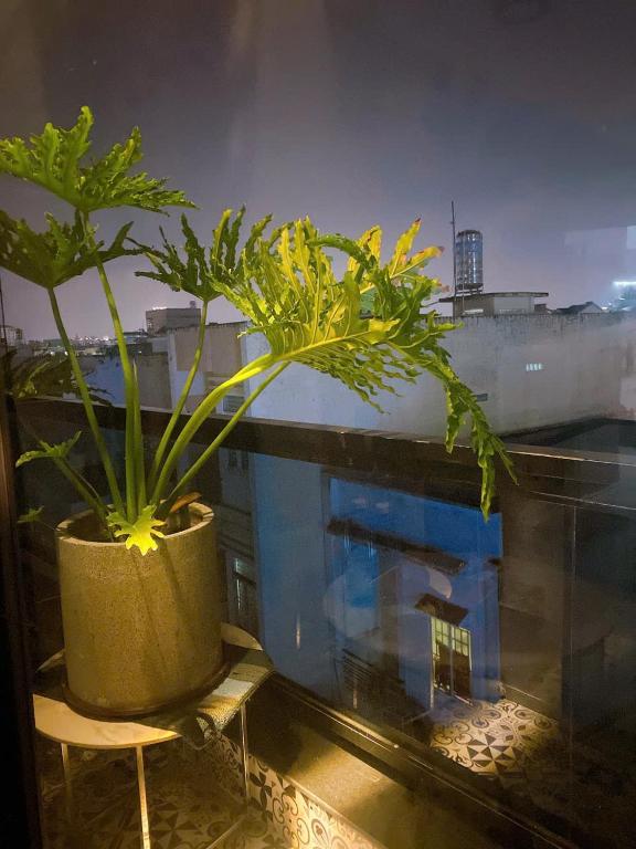 Khách sạn Mini house Huỳnh Lộc