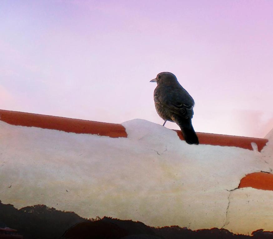 Surrounding environment