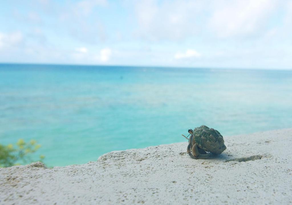 Surrounding environment