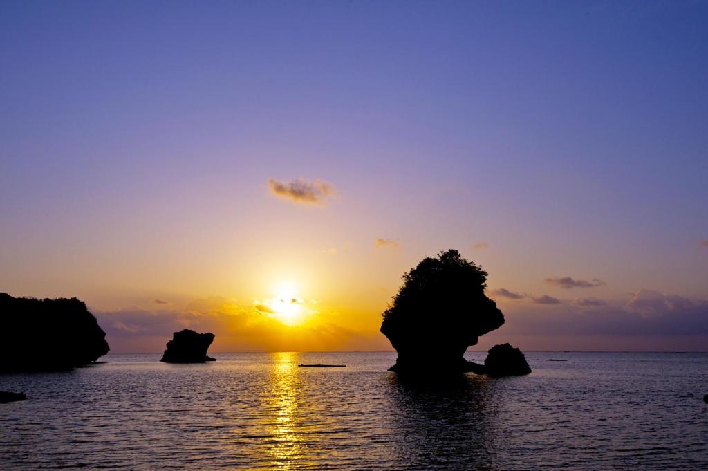 Surrounding environment