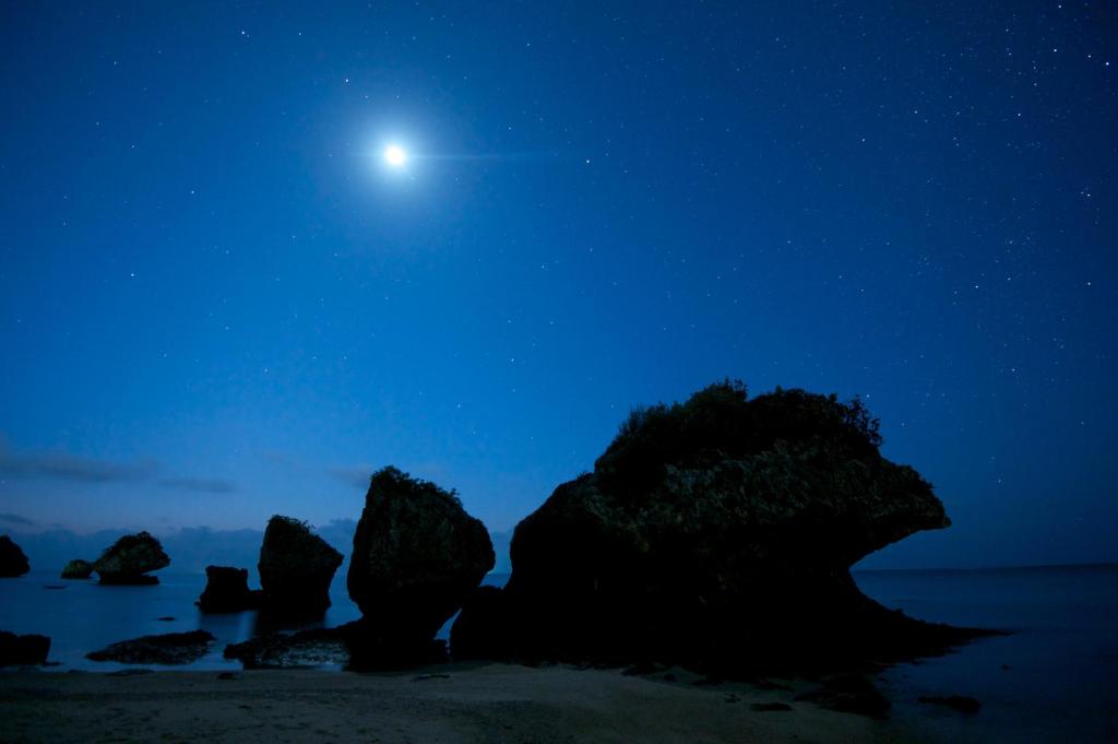 Surrounding environment