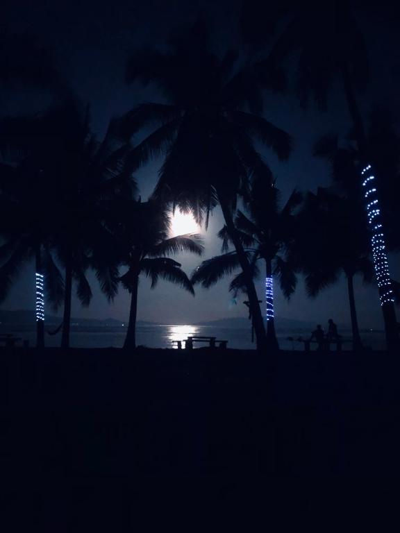 2. Palm Cre..
