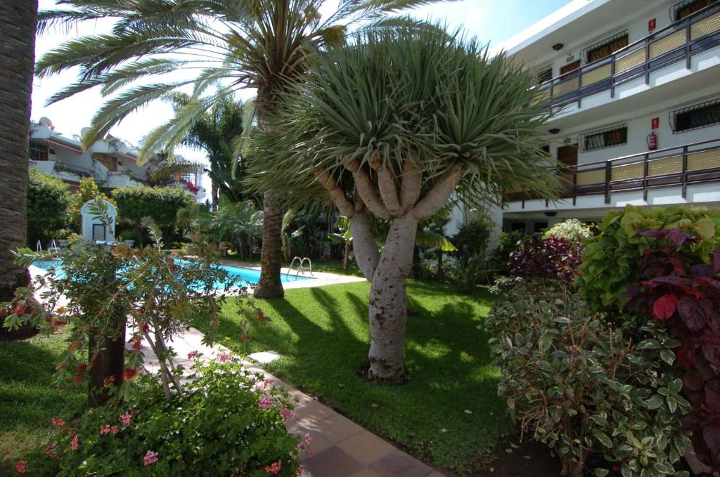 Apartment Hotel TABOGA — Swimming pool in Playa del Ingles, Canary Islands