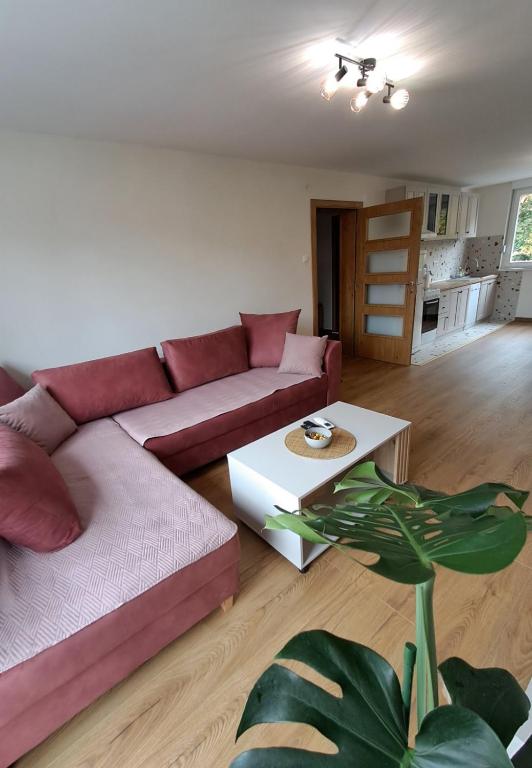 Apartman VIDA - 1