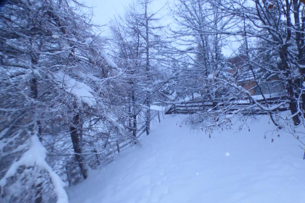chalet à Orcieres merlette pour 10 - 4