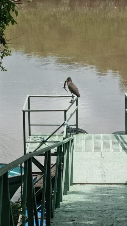 Puertohumo, Puerto Humo