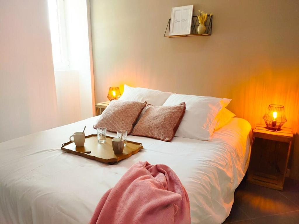 Bel appartement T3 - Climatisation- Terrasse- proche Nice et Monaco - 3