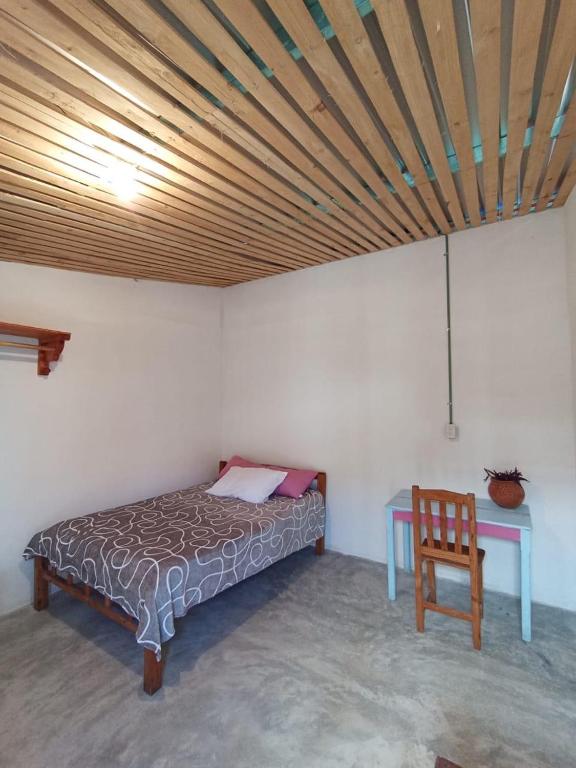Casa de los gatos - 1