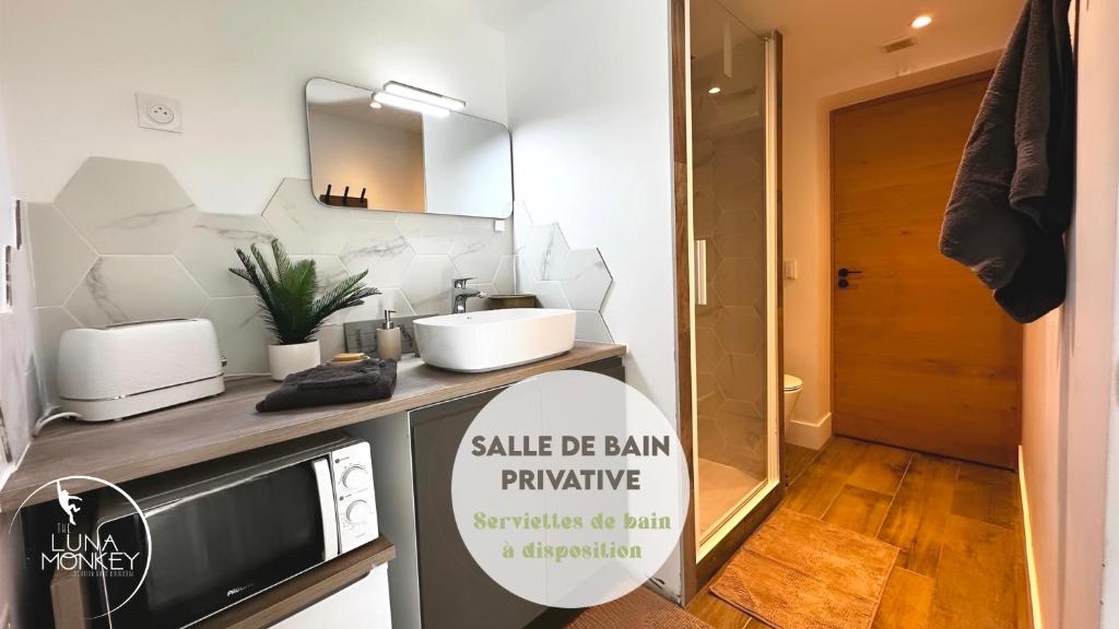 Luna Monkey, Chambre & Terrasse privée, Bourgoin Centre - 4