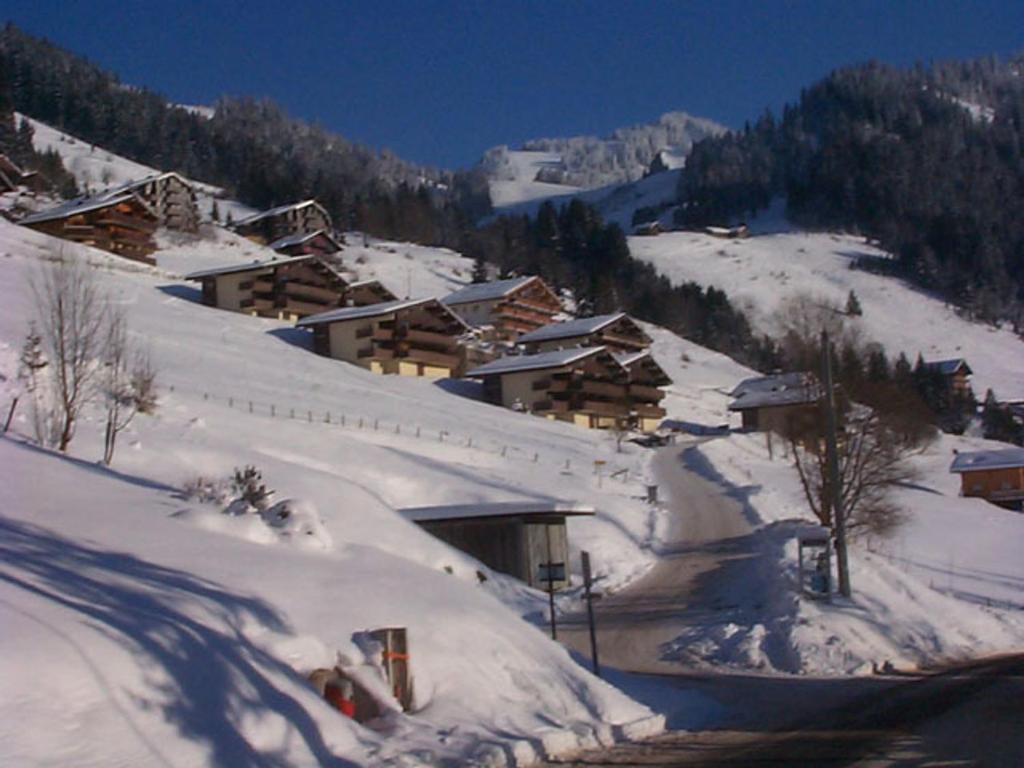 Châtel: T2 cosy 4 pers avec balcon - FR-1-198-268 - 2
