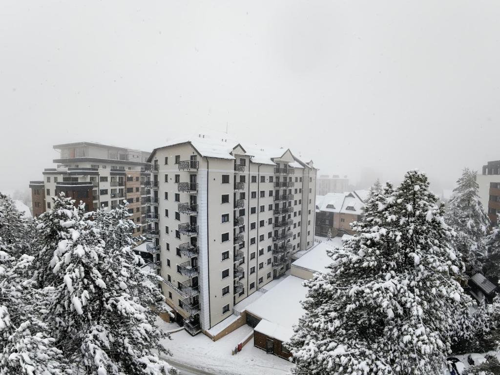 Golden Pine Lux Wellness and Spa - 3