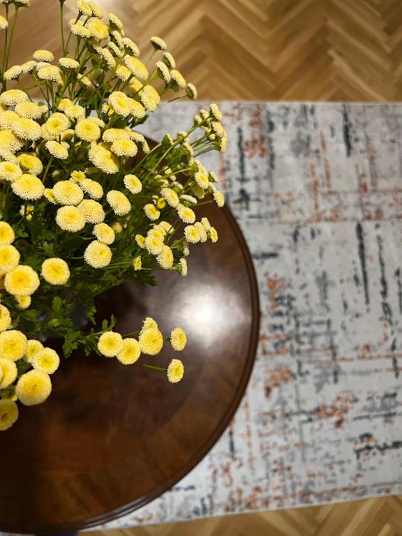 Urban Bliss Vračar - 1