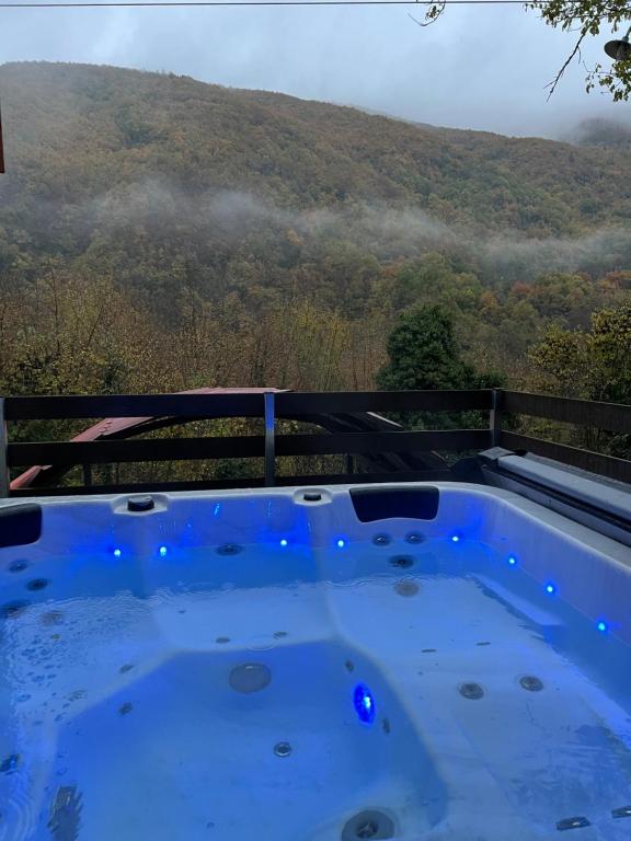 Forest view Aggeliki, Karpenisi