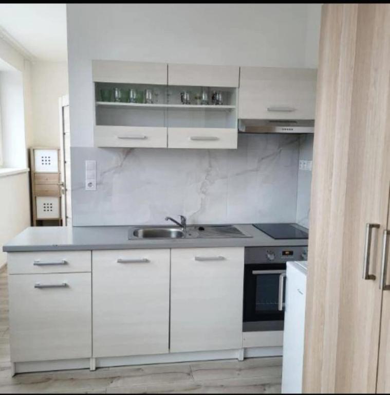 ApartmentAviatorBird, Vrakuňa