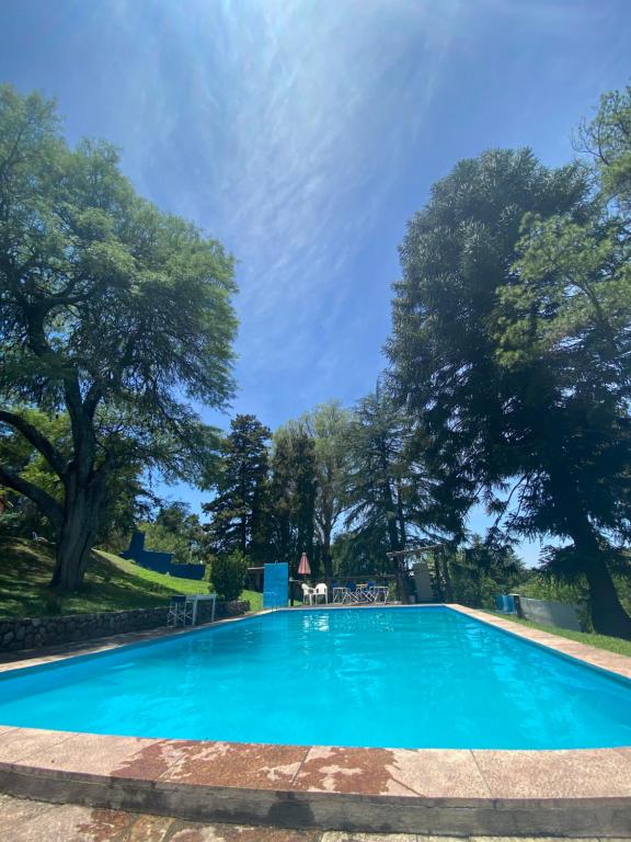 Chalet los pinos - 4