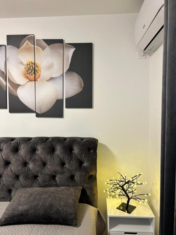 Apartman Sneznik - 5