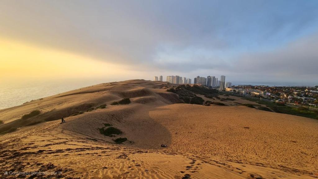 Terrazas de cochoa Reñaca 2 Dormitorios - 3