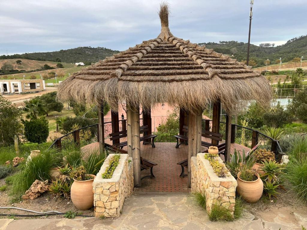 Exterior view, Lilac's Garden vue piscine in Cabo Negro