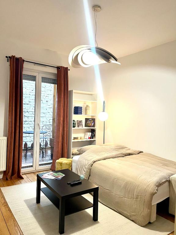 Magnifique & Cozy appartement au cœur de Strasbourg avec terrasse - 3