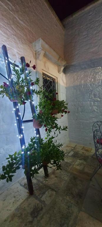 Casa Nonna Renzina - 2
