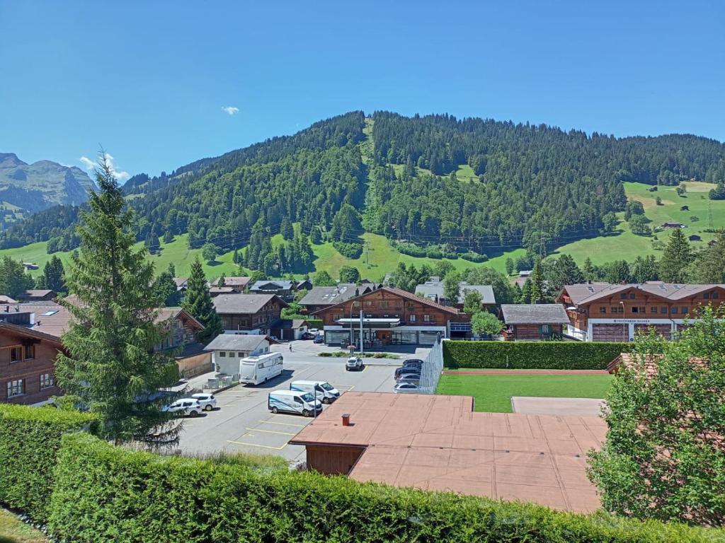 Minutes Walk from Gstaad Center - Great Apartment, Gstaad