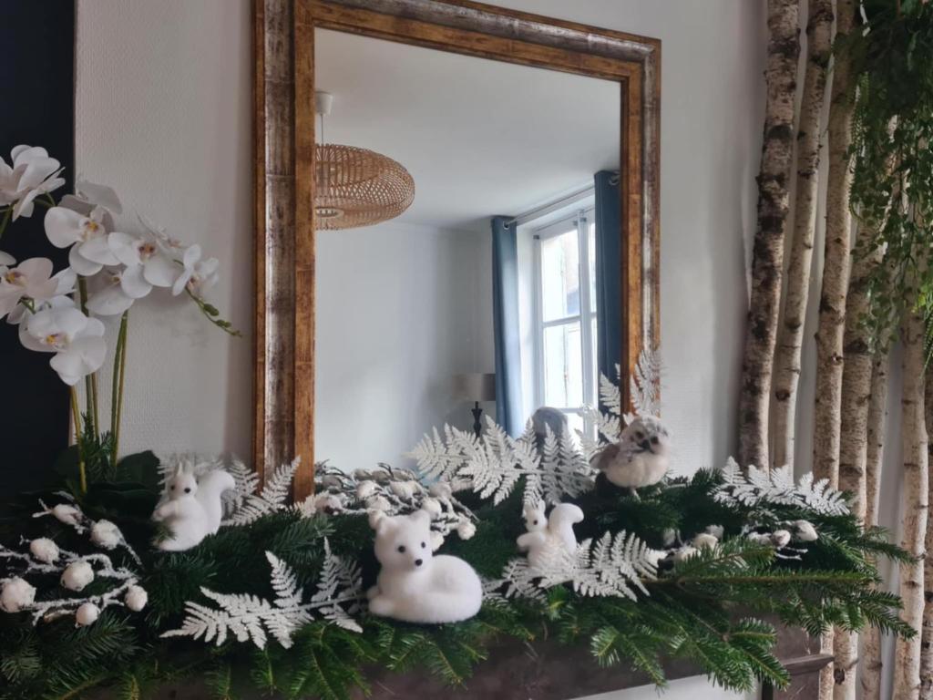 Studio 4 personnes aux pieds du château de Blois avec expérience de dormir sous les aurores boréales - 2