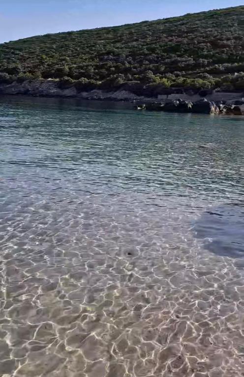 Villa Symphony apartments Kotor Tivat - 4