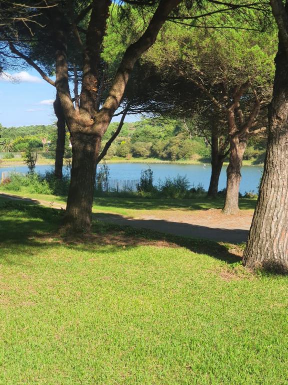 Studio Golf&Plage Chiberta - 4
