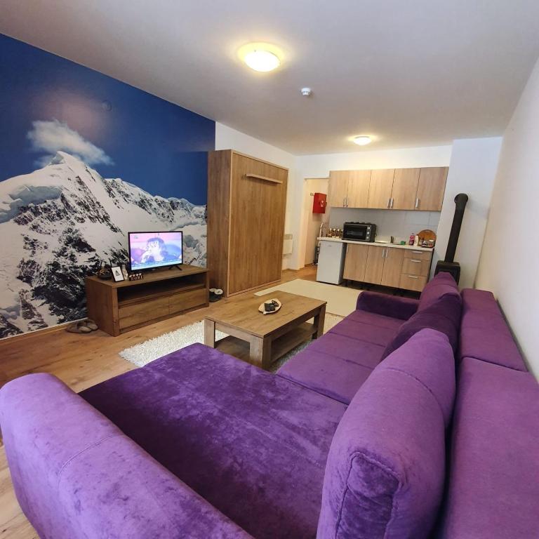 Apartment Violet Jahorina - 4