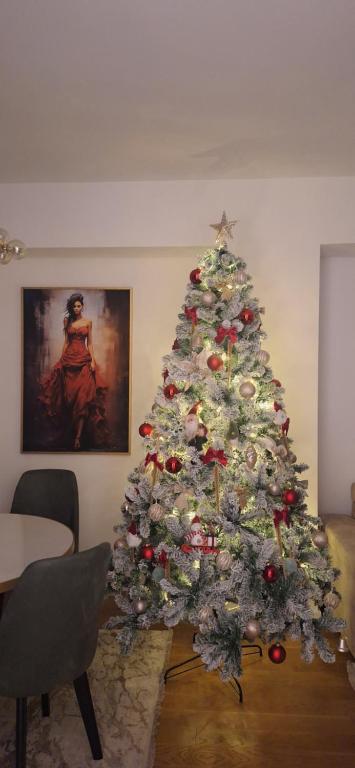 Palata Gold Apartment - 4