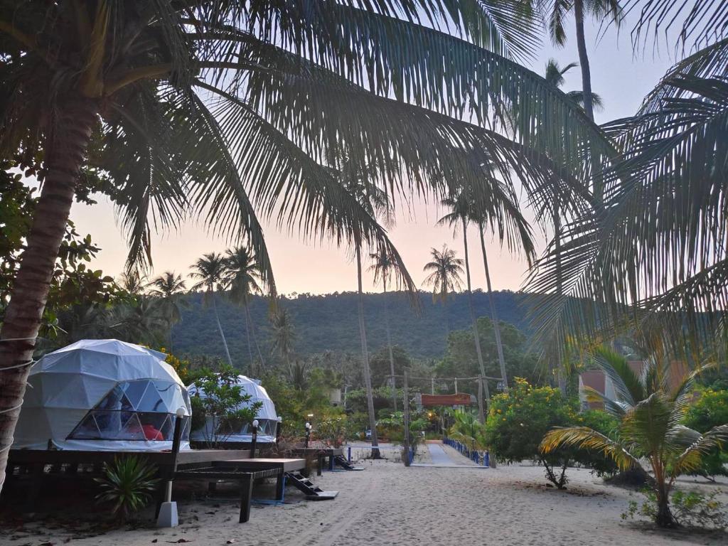 เดอะ แคมเปอร์ รีสอร์ท (The camper resort)