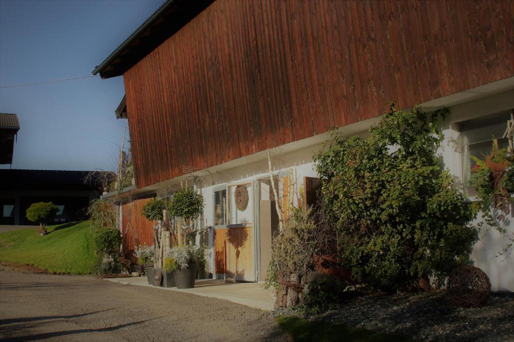 Appartement Steger - 4