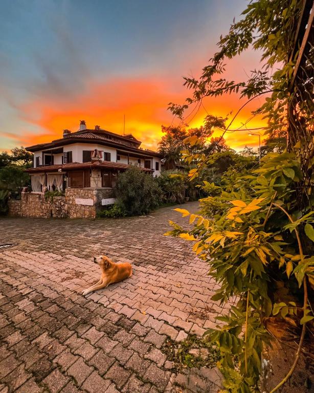 Liya Boutique Hotel Suites