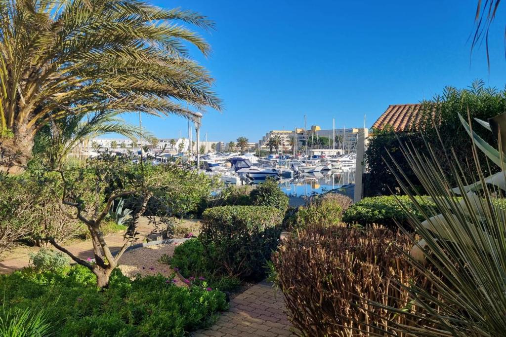 Naturiste Cap d'Agde Port Vénus 7 - 2