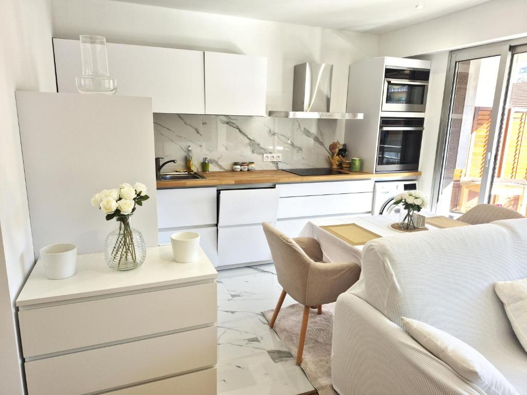 Superbe Appartement Luxueux Spacieux 50 m2 Port Nice - 5