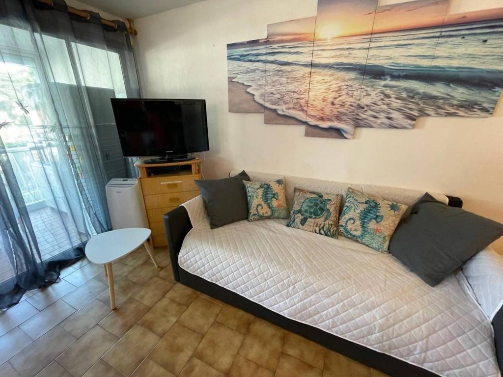 Appartement deux pièces- Argelès sur mer AR410-150 - 3