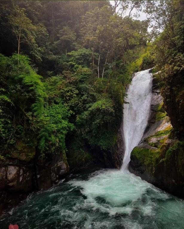 Cloudbridge Nature Reserve, Herradura