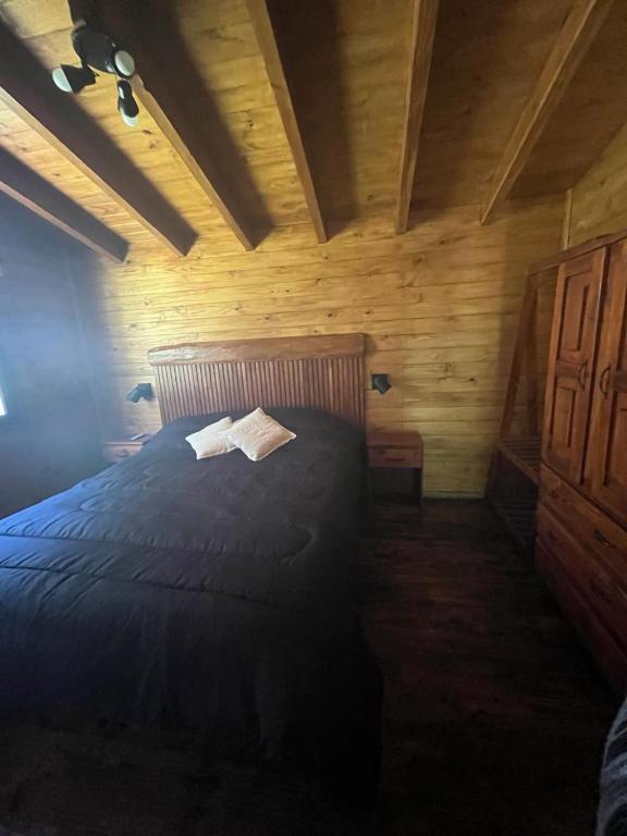 Trébol del Bosque - 2