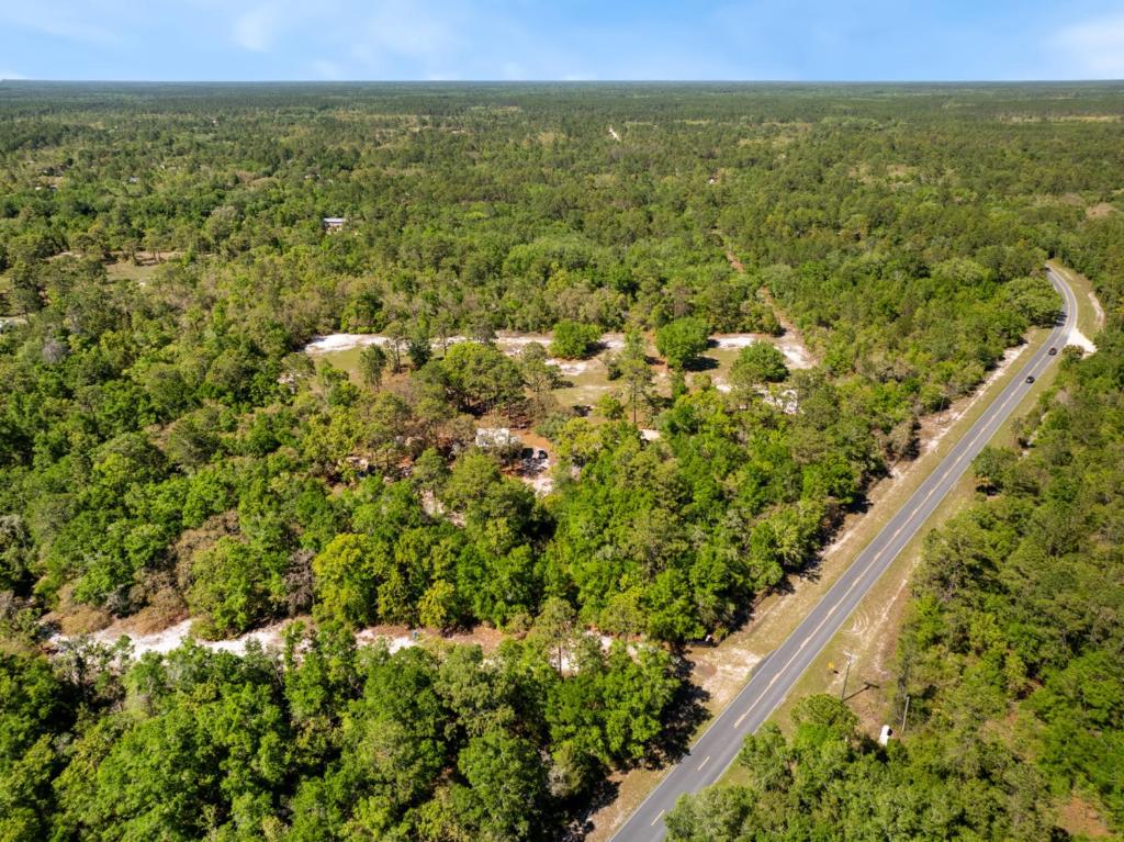 Three Cedars, Cedar Key